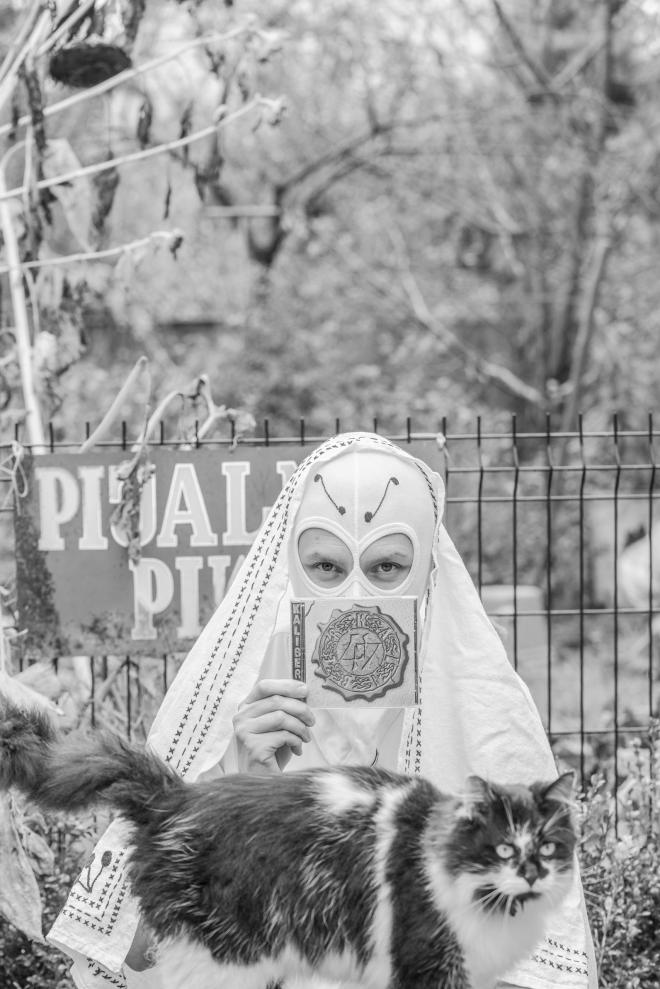 Królówczana Smuga trzyma płytę Kaliber 44 - "Księga Tajemnicza Prolog". Na pierwszym planie, przed artystą przechodzi kot.