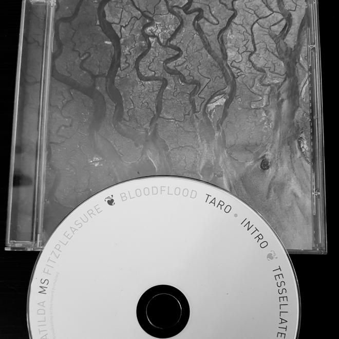 Płyta Alt-J "An Awesome Wave".