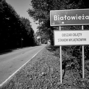 zdjęcie-4019 - obraz z galerii Rafał Wojczal: Wojenko, wojenko