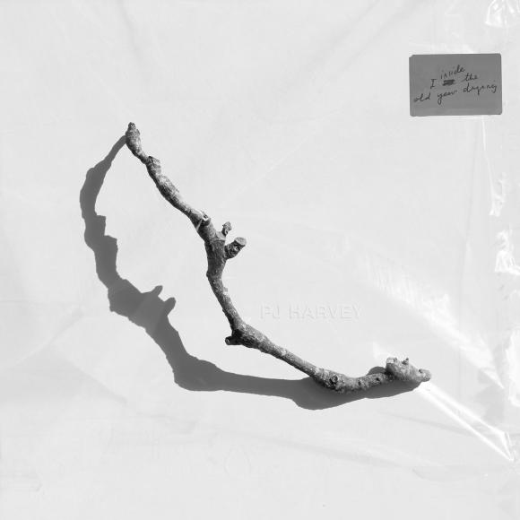 Obraz artykułu PJ Harvey - "I Inside the Old Year Dying"
