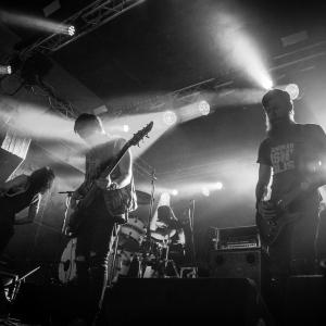 zdjęcie-3698 - obraz z galerii Gojira zaatakowała Gdańsk