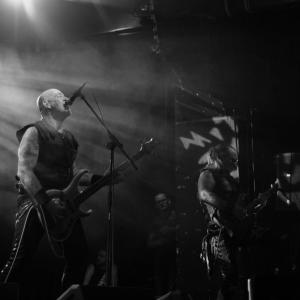 zdjęcie-488 - obraz z galerii Venom Inc.