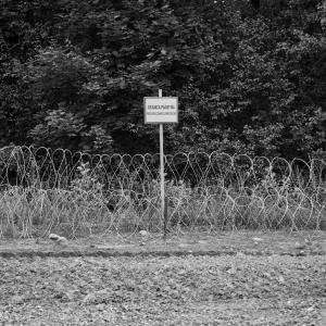 zdjęcie-4006 - obraz z galerii Rafał Wojczal: Wojenko, wojenko