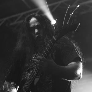 zdjęcie-467 - obraz z galerii Venom Inc.